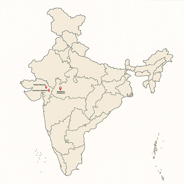 Geographical Roots of Pithora Art